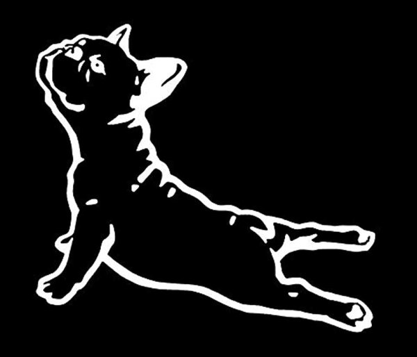 Французский бульдог стилизация