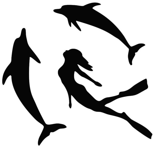 Наклейки "дельфины"