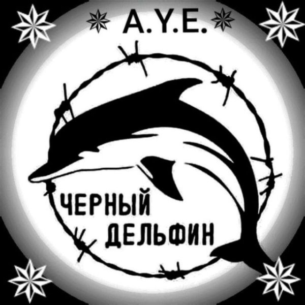 Черный Дельфин