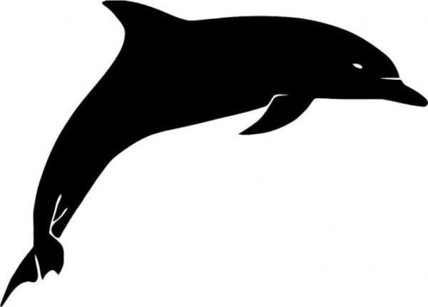 Тату Дельфин эскизы