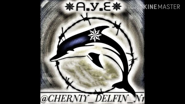 Чёрный Дельфин картинки