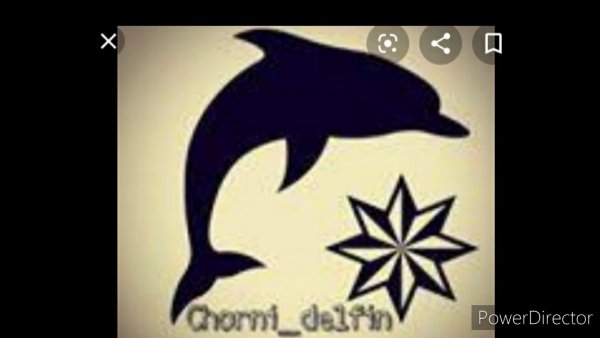 Чёрный Дельфин картинки