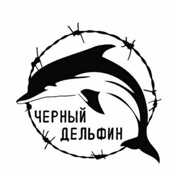 Наклейка черный Дельфин