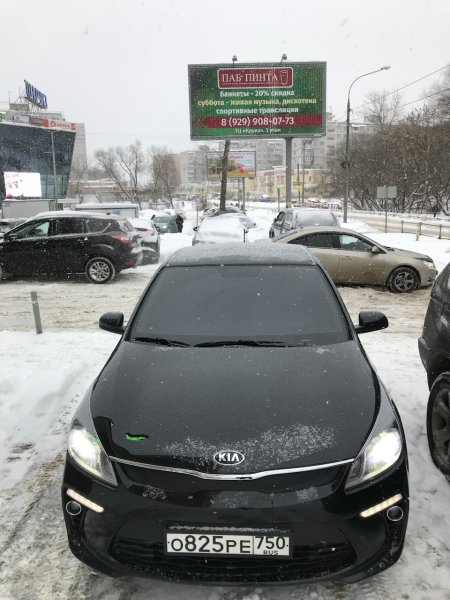 Наклейка черный Дельфин