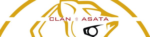 Наклейка ASATA