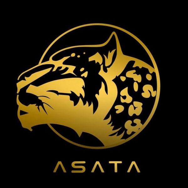 Асата Чаннел