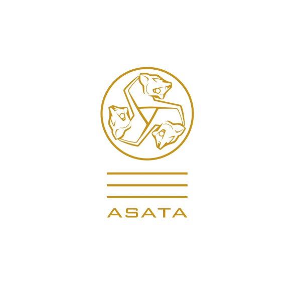 Осетинский клан ASATA