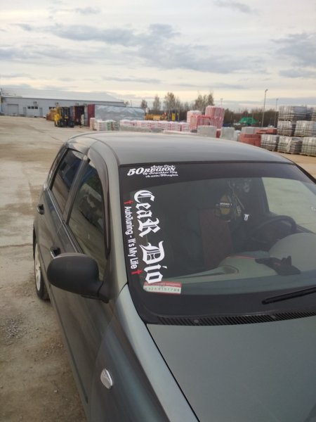 Лада Калина хэтчбек винил