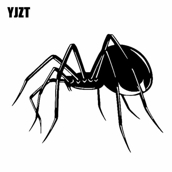 Черная вдова паук