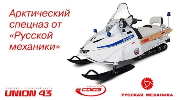 Наклейки ПВХ самоклеящиеся на стелс гепард 650