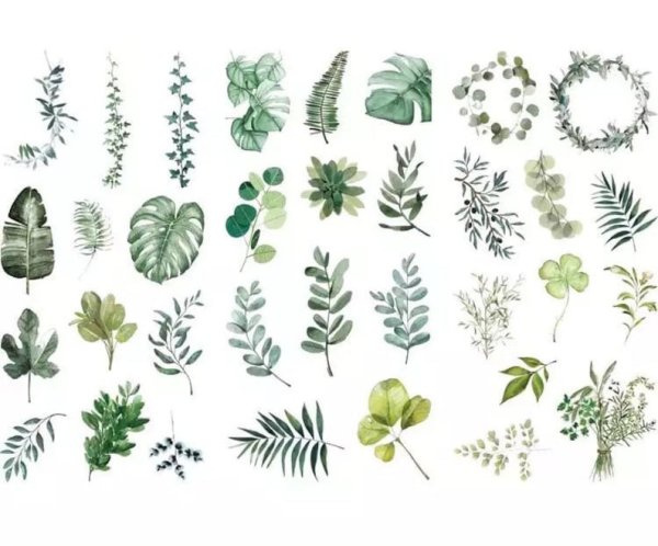 Стикеры зеленого цвета