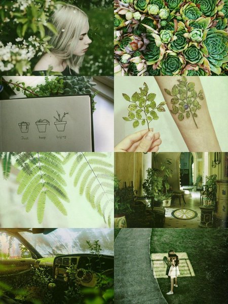 Эстетика зелёного цвета