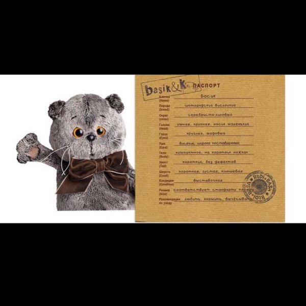 Игрушка Басик кот паспорт
