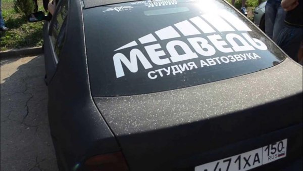 Студия Автозвука медведь наклейка