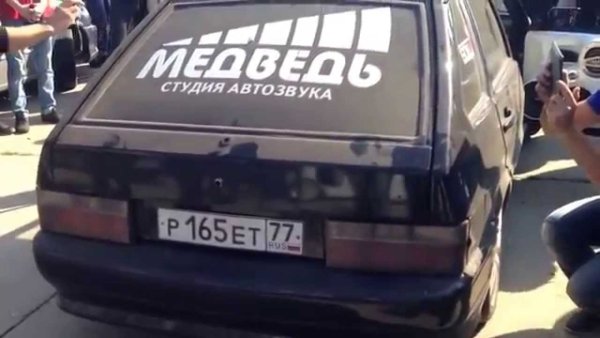 Студия Автозвука медведь