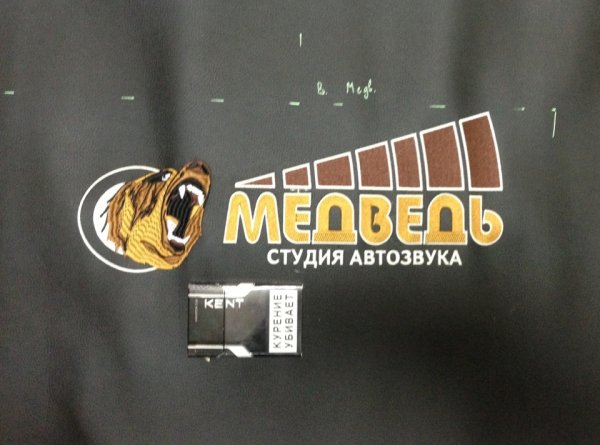 Студия Автозвука медведь