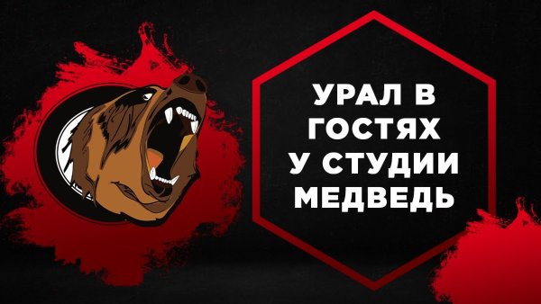 Студия Автозвука медведь логотип