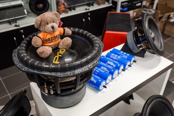 Студия Автозвука медведь Рамазан