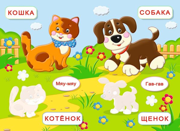 Книжка с наклейками обучающие наклейки домашние животные