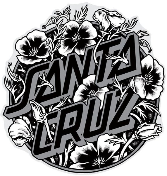 Санта Круз логотип