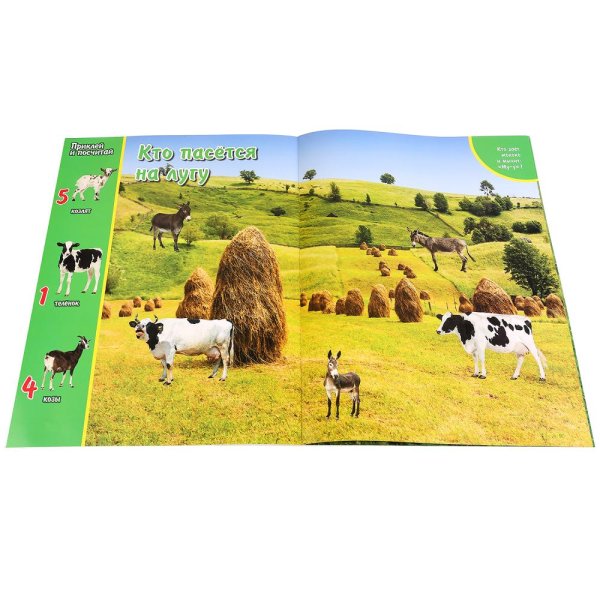 Книжка с наклейками "обучающие наклейки. Транспорт"