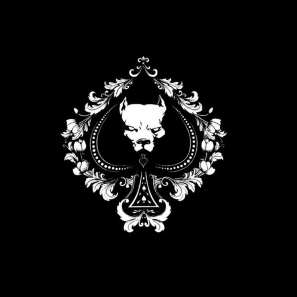 Логотип на черном фоне