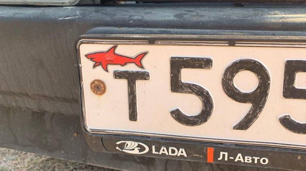 Акула на номерном знаке автомобиля