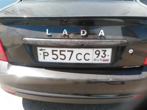 Наклейка на авто "акула"