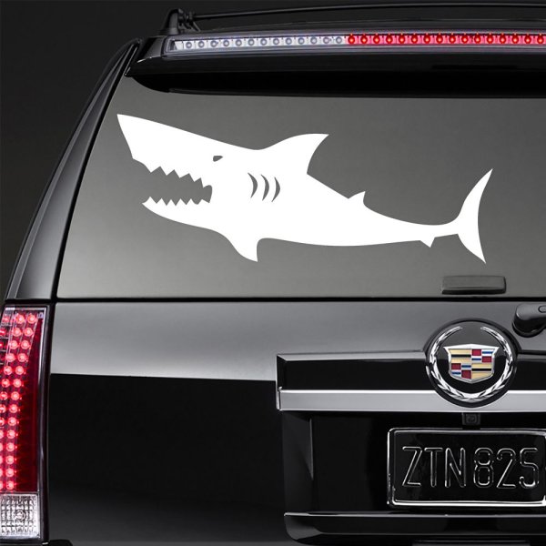 Наклейка акулы на номере машины