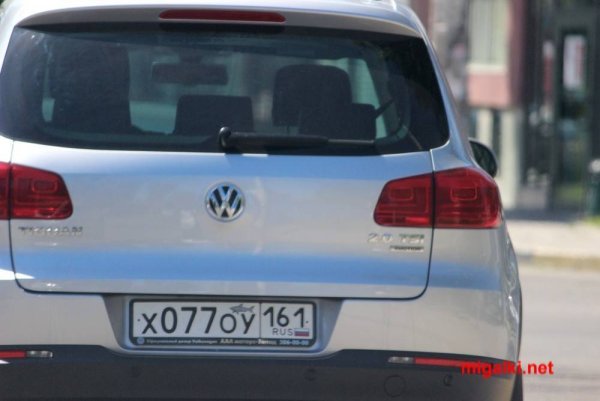 Paul Shark акула наклейка