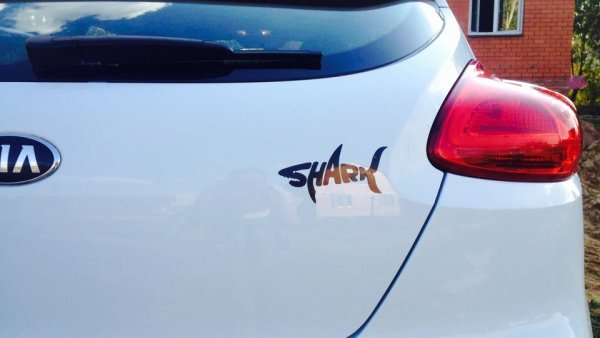 Наклейка рыбка на машине