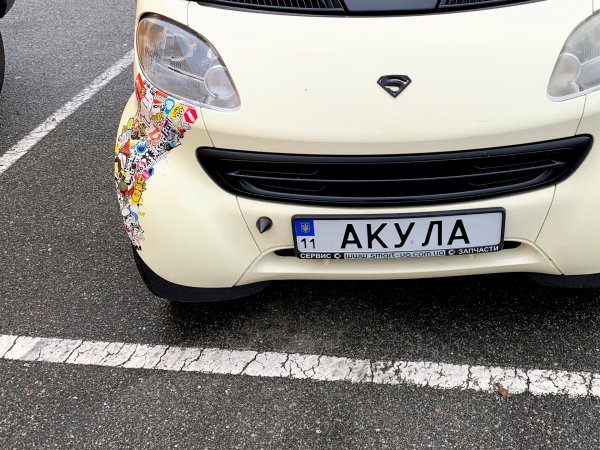 Наклейка рыбка на машине