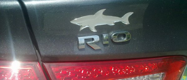 Наклейка акулы на гос номер