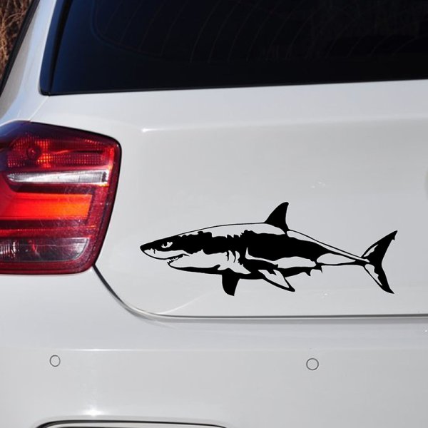 Наклейка акулы на номере машины