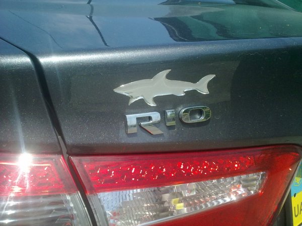 Paul Shark наклейка