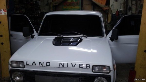 Наклейка на лобовое стекло Шнива