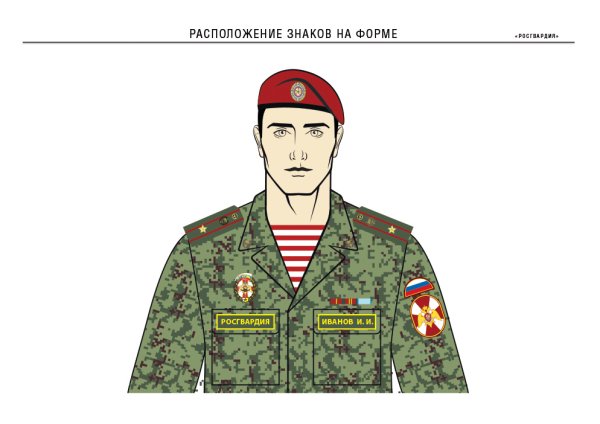 Шеврон Академии Петра Великого