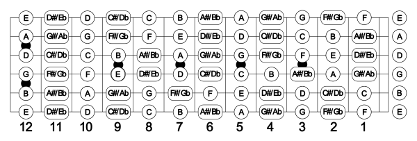 Расположение струн на 6 струнной гитаре на грифе