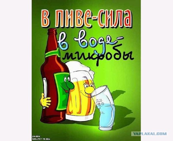 Приколы про пиво