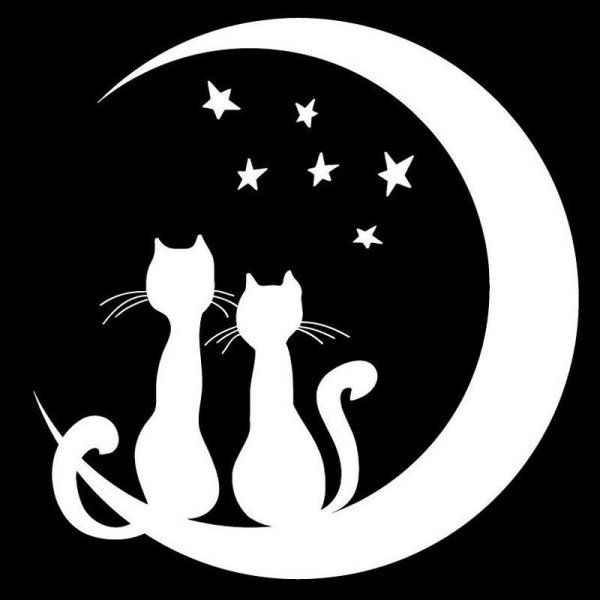 Трафарет кошки на окно