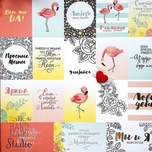 Карточки с Цитатами