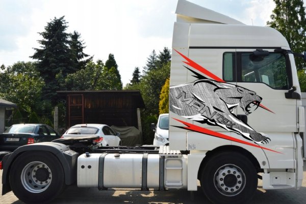 Наклейки на man TGX