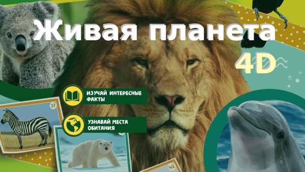 Наклейки Живая Планета