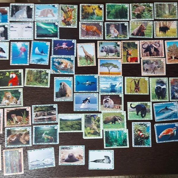 Наклейки Живая Планета 4д