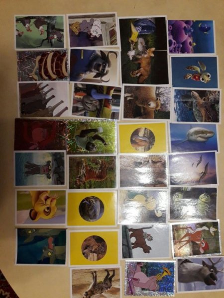 Коллекция Дино Дикси