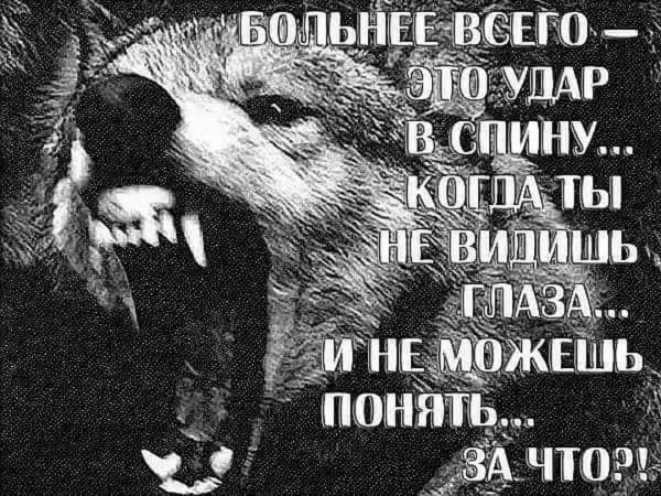 Нож в спину предательство