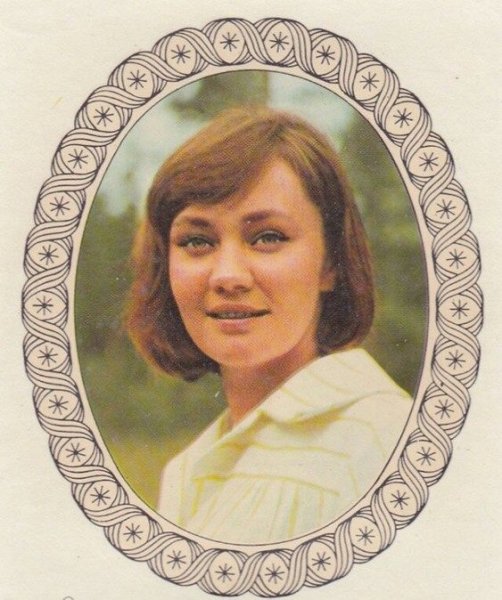 Переводилки ГДР