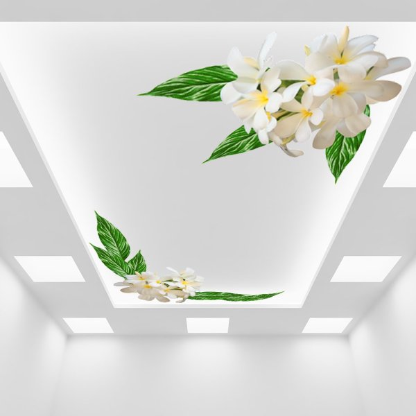 Декоративные наклейки на натяжной потолок