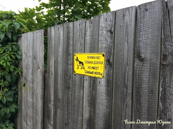 Красивые надписи на заборах