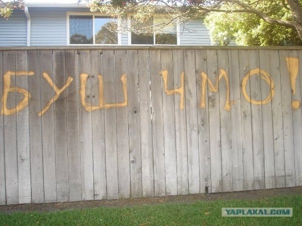 Прикольные надписи на заборе